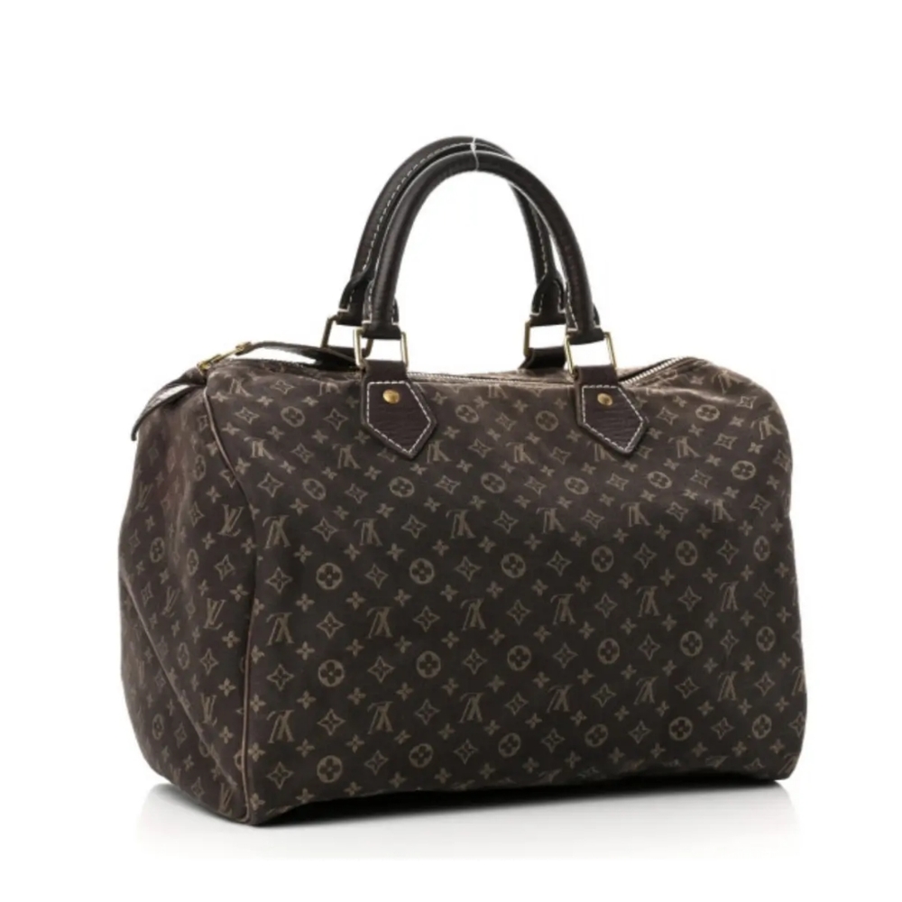 Louis Vuitton Speedy Cloth Monogram Canvas Bag